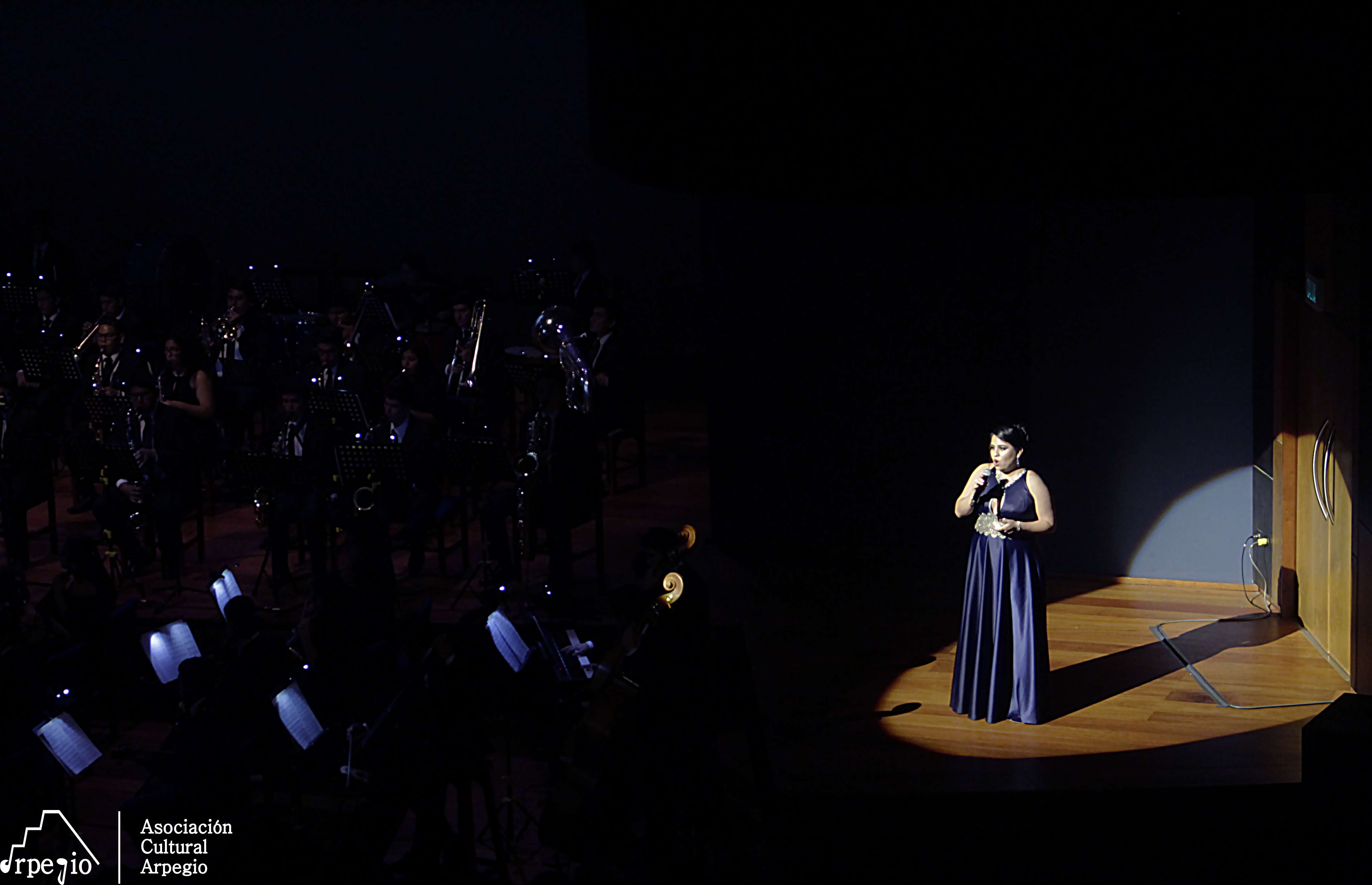 CONCIERTO DE PEL&Iacute;CULA