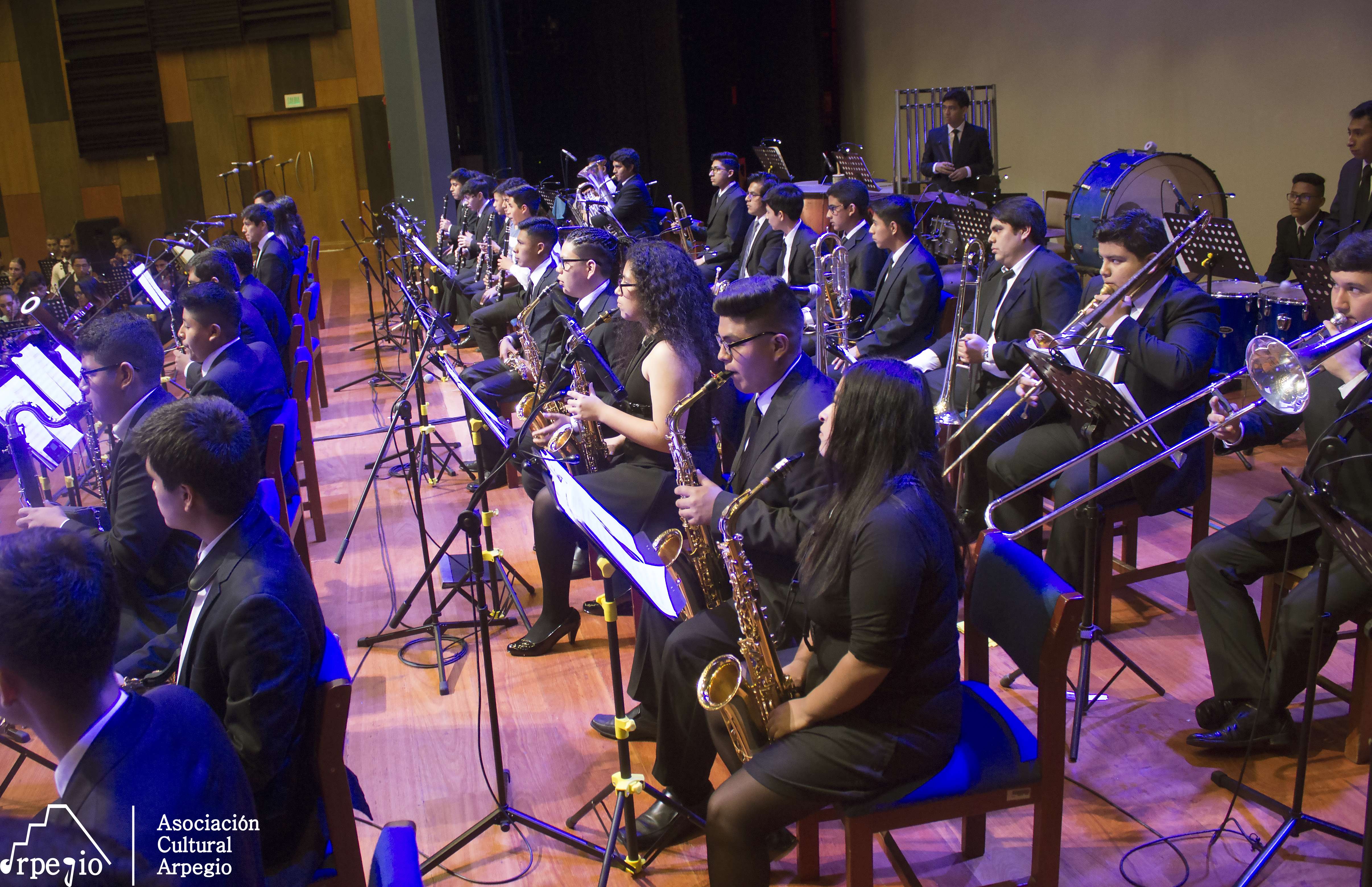 CONCIERTO DE PEL&Iacute;CULA