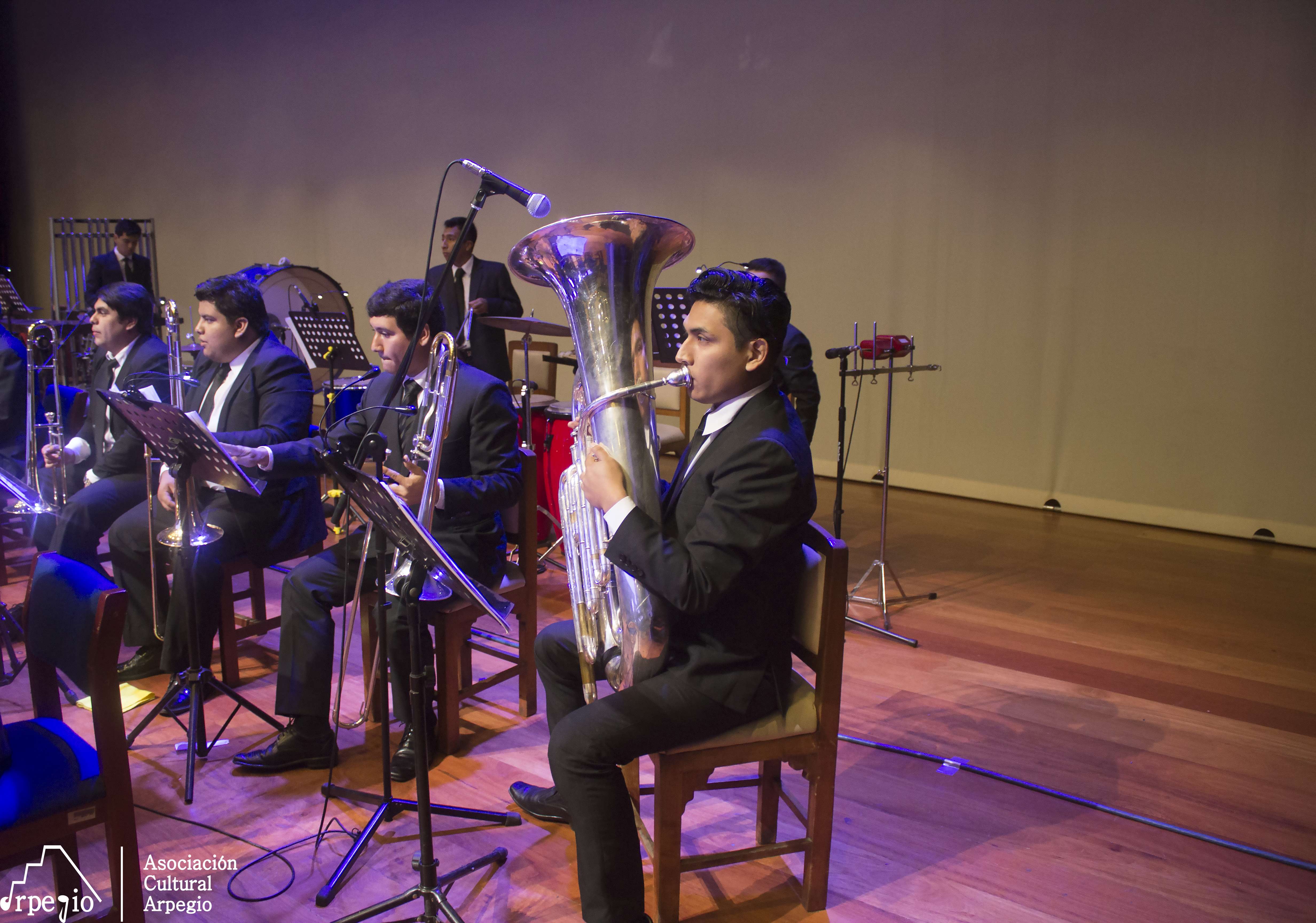 CONCIERTO DE PEL&Iacute;CULA